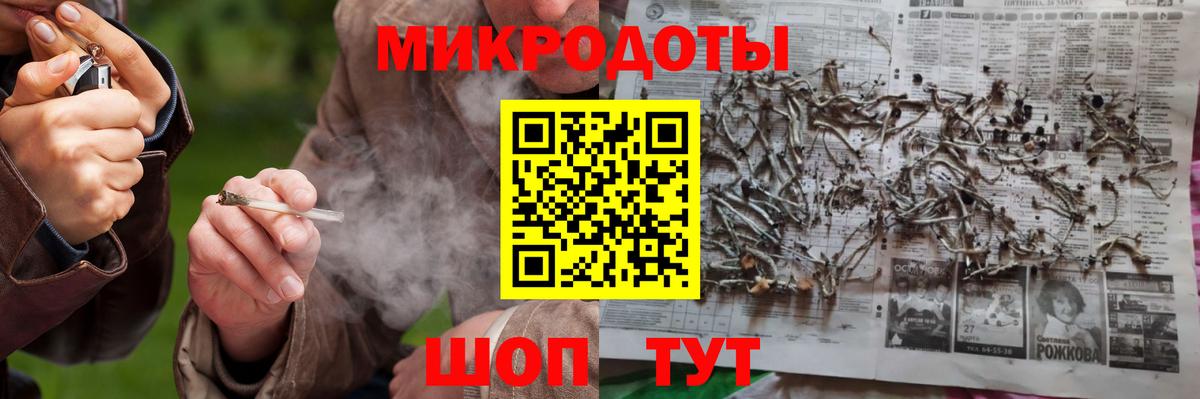 Галлюциногенные грибы Psilocybe Сургут